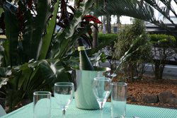 Ellis Beach Bar & Grill - Accommodation Sydney 3