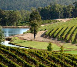 Brookhampton Estate Vineyard - Accommodation Sydney 0