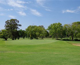 Singleton Golf Club - Accommodation Sydney 1