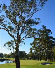 Ryde-Parramatta Golf Club - Accommodation Sydney 0