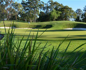 Ryde-Parramatta Golf Club - Accommodation Sydney 1