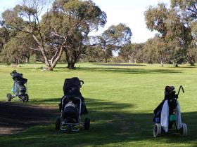 Minlaton Golf Club - Accommodation Sydney 3