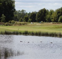 Llanherne Golf Club - Accommodation Sydney