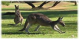 Rockingham Golf Club - Sydney 4u 2