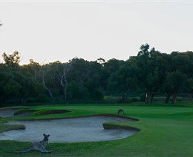 Anglesea Golf Club - Accommodation Sydney 8
