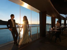 Hamilton Island Yacht Club - Accommodation Sydney 2