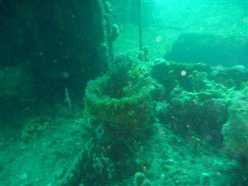 Wallaroo Scuba Club - Sydney 4u 0