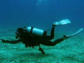Wallaroo Scuba Club - Sydney 4u 1