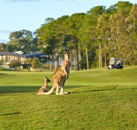 Sanctuary Cove Golf and Country Club - Accommodation Sydney