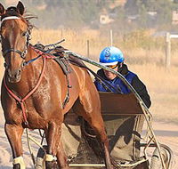 Ballarat  District Trotting Club - Sydney 4u