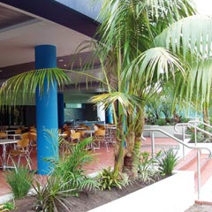 Club Forster - Accommodation Sydney 0