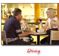 Steelers Club - Accommodation Sydney