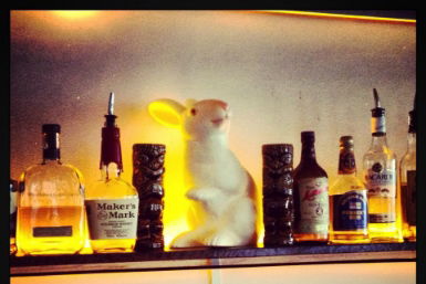 Hairy Canary - Accommodation Sydney 0