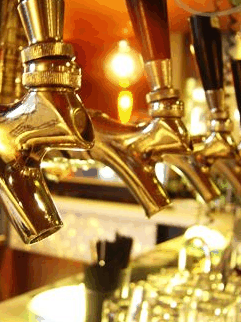 Mary G's - Accommodation Sydney 0