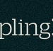 Dumpling Republic - Accommodation Sydney