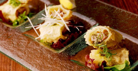 HaNa Ju-Rin Japanese Restaurant - Accommodation Sydney 0