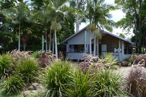 Wongaling Beach QLD Sydney 4u