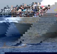MoonshadowTQC Cruises - Accommodation Sydney