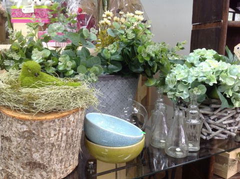 Fiori With Love - Accommodation Sydney 2