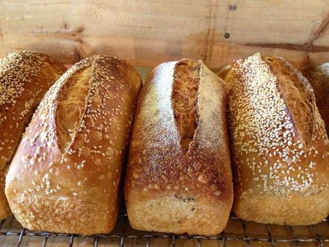 Blackbird Artisan Bakery - Accommodation Sydney 0