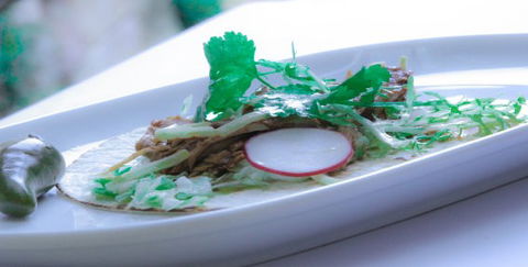 Pepino's Mexican Restaurant - Accommodation Sydney 2