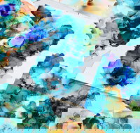 Alcohol Ink Art Class - Accommodation Sydney