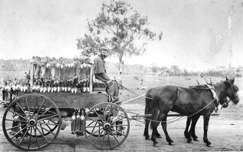 A Tale Of Two Villages - An Exhibition - Accommodation Sydney 1