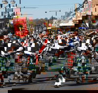 Australian Celtic Festival - Accommodation Sydney