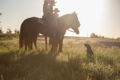 Balonne Cutting Horse Futurity - Accommodation Sydney 0