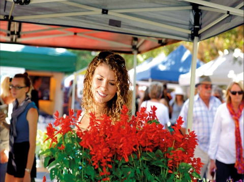 Ballina Missingham Farmers Market - Accommodation Sydney 0