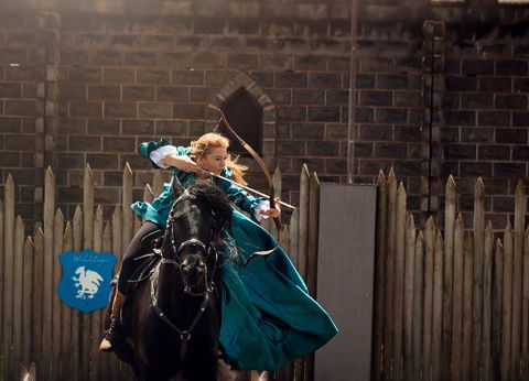Baroque Horse Festival - Accommodation Sydney 0