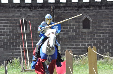 Baroque Horse Festival - Accommodation Sydney 1