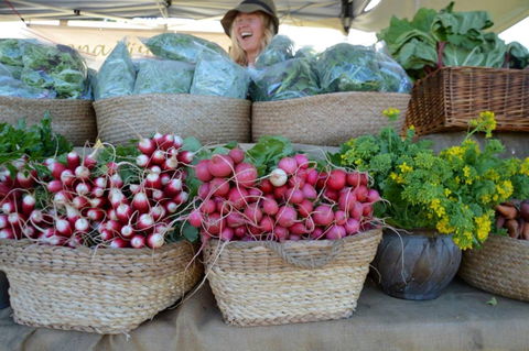 Berry Farmers' Market - Accommodation Sydney 0