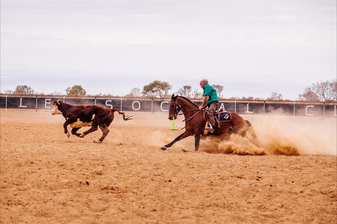 Birdsville Campdraft,  Rodeo And Bronco Branding - Accommodation Sydney 0