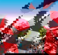 Blacktown Christmas Light Up Concert - Accommodation Sydney