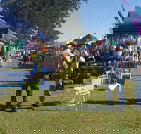 Casino Golf Club Markets - Accommodation Sydney