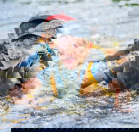 Cave Hill Creek Summer Camp - Accommodation Sydney