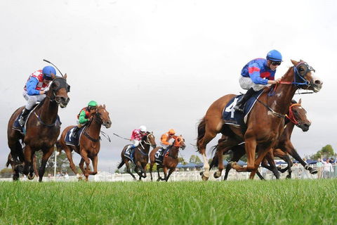 Christmas Cup Race Day - Accommodation Sydney 0