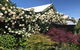 Crookwell Garden Festival - thumb 1