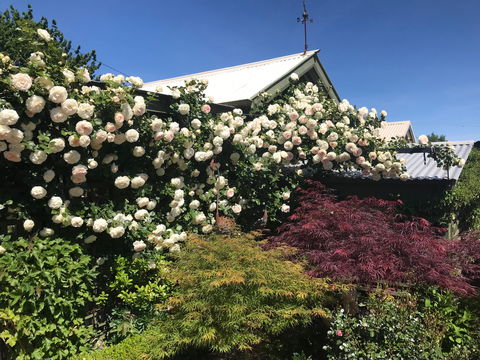 Crookwell Garden Festival - Accommodation Sydney 1