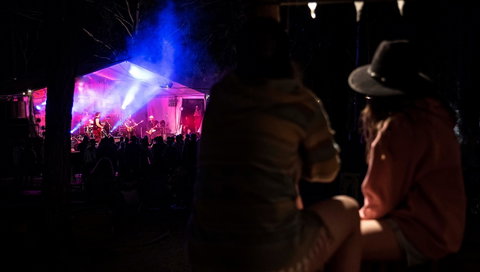 Dashville Skyline - Accommodation Sydney 0