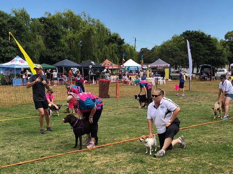 Dogs In The Park Orange - Accommodation Sydney 0