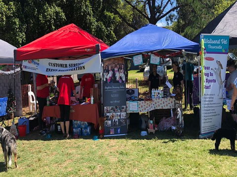 Dogs In The Park Orange - Accommodation Sydney 1