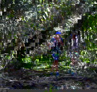 Elephant Trail Race - Accommodation Sydney