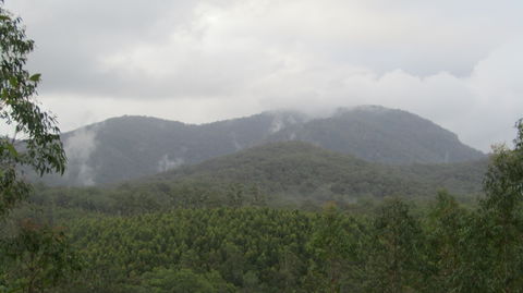 Elephant Trail Race - Accommodation Sydney 2