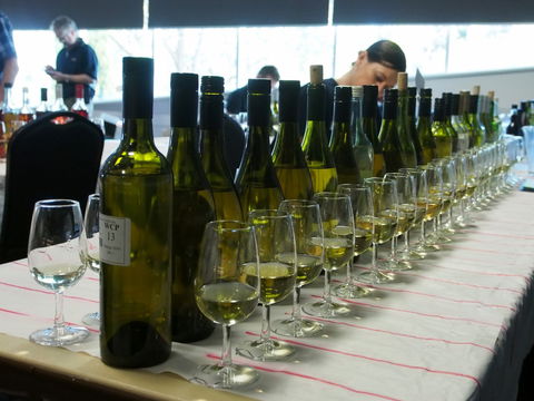 Eltham And District Wine Guild Annual Wine Show - 51st Annual Show - Accommodation Sydney 1