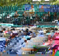 Festival in the Park - Accommodation Sydney
