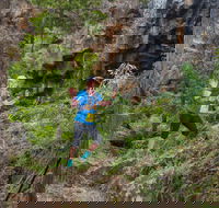 Goldrush Trail Runs - Accommodation Sydney