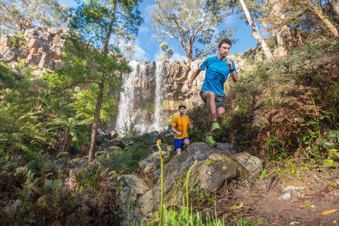 Goldrush Trail Runs - Sydney 4u 1