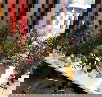 Grampians Wildflower Show - Accommodation Sydney